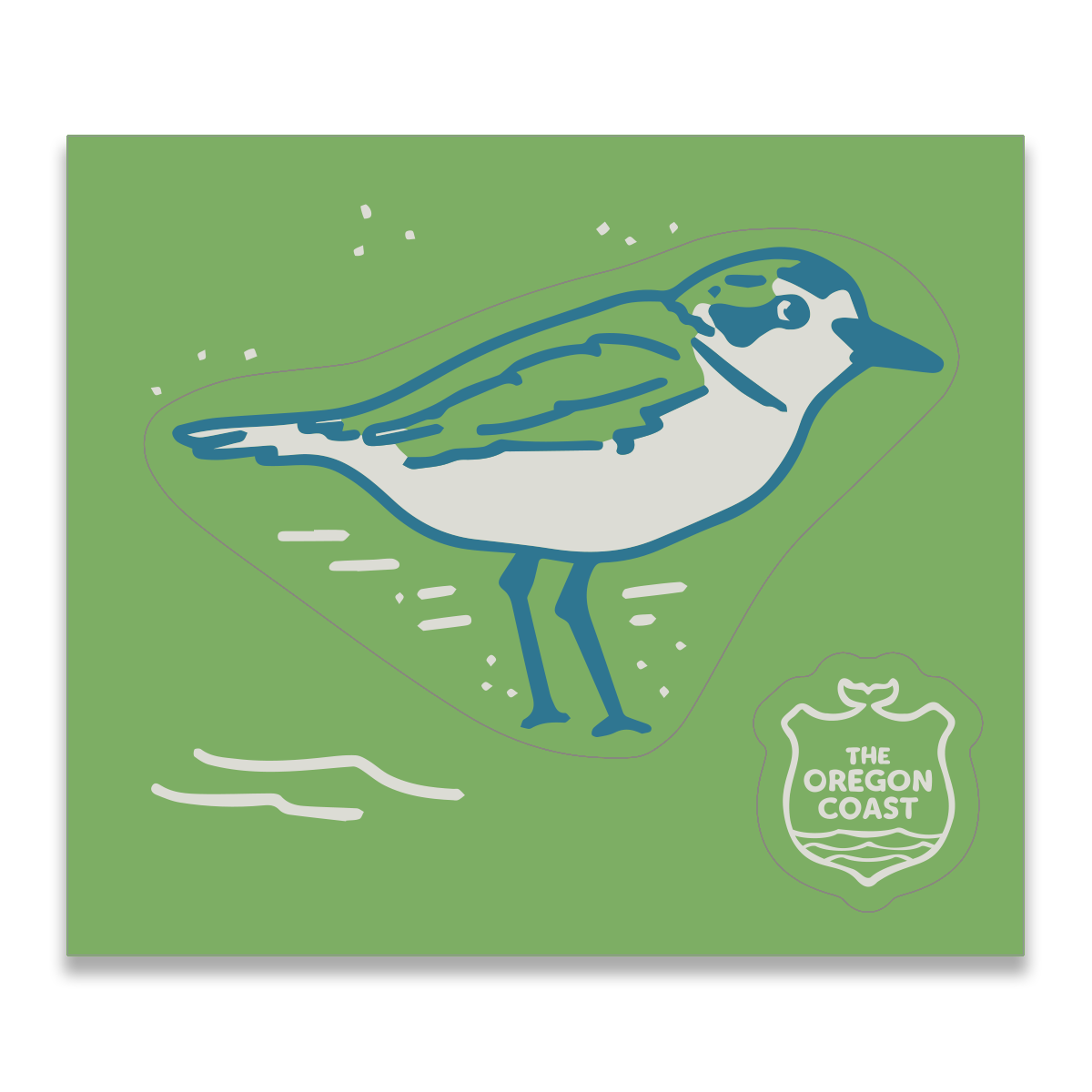 Coastal Icon Sticker - Plover