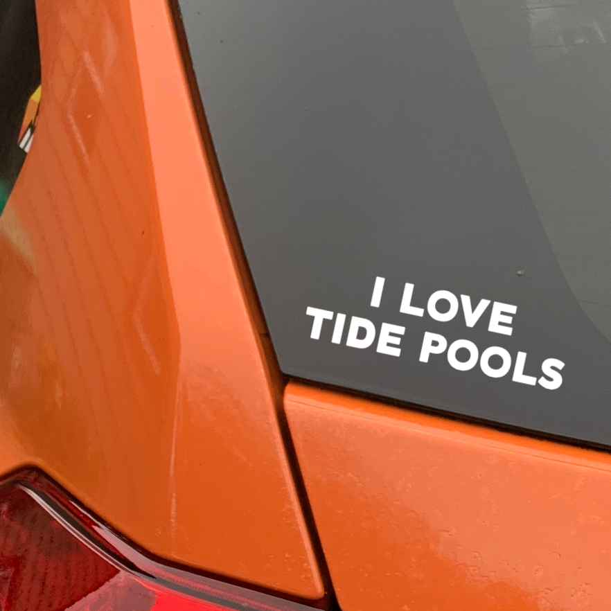 I LOVE TIDE POOLS Transfer Sticker